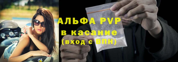 прущие грибы Тольятти