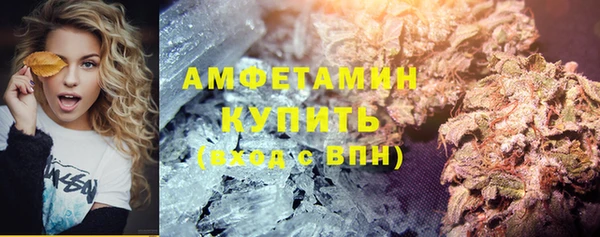 дживик Козельск