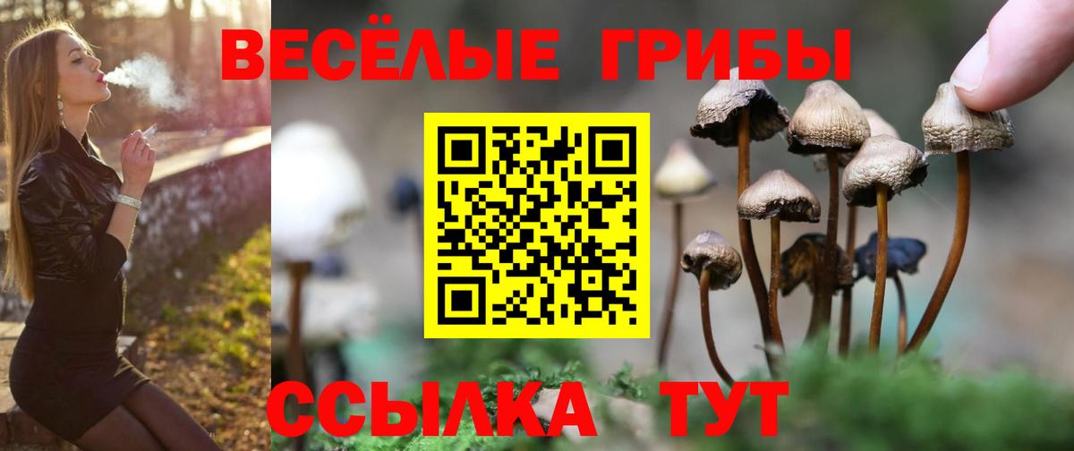 купить наркотики цена  Галлюциногенные грибы Magic Shrooms  Вход с VPN  Уссурийск  Галлюциногенные грибы Cubensis 