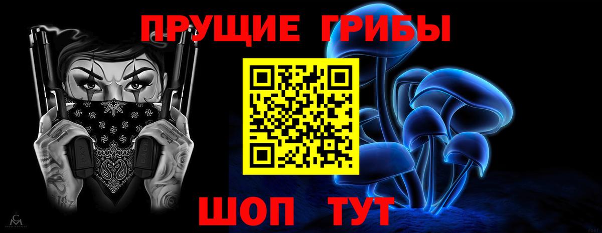 Псилоцибиновые грибы Cubensis Уссурийск